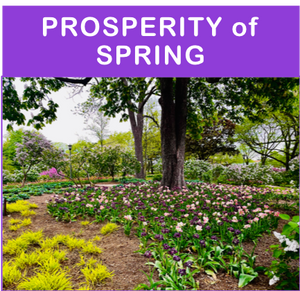 The Prosperity of Spring