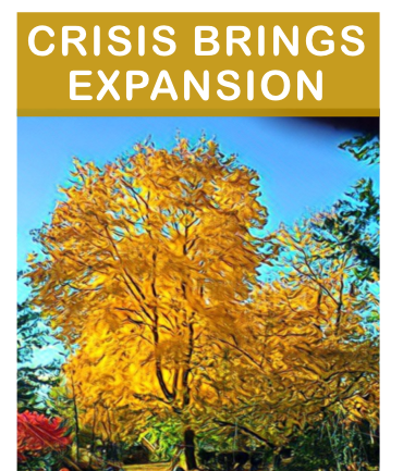 Crisis = Expansion