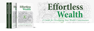 Effortless Wealth is an investment guide book 